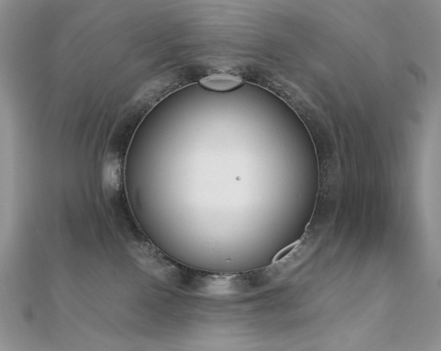 X0000112530090200908171430