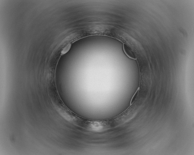 X0000112530091200908171430