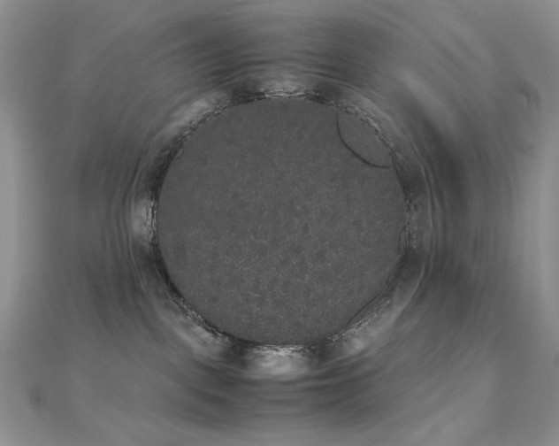 X0000112530093200908171430