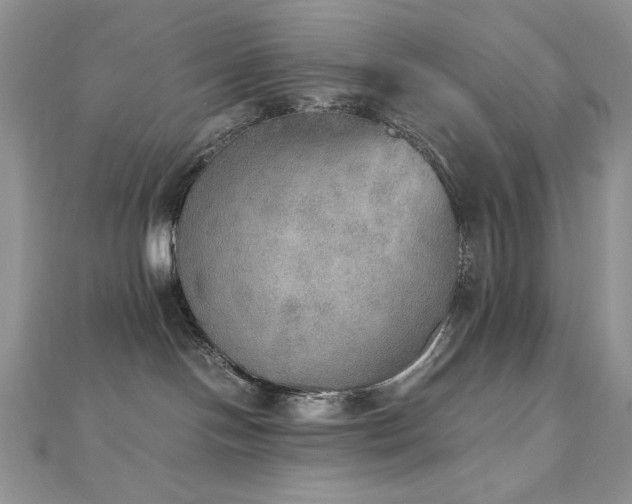 X0000112530094200908171430