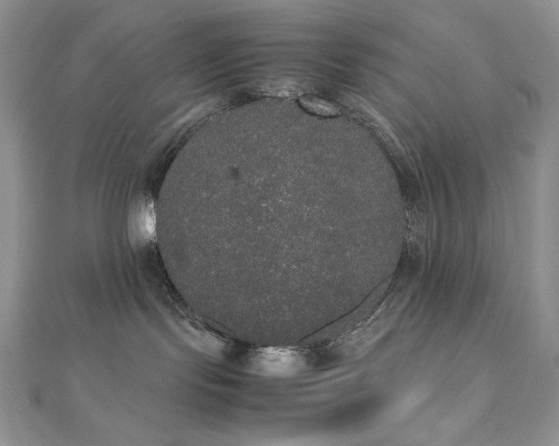 X0000112530095200908171430