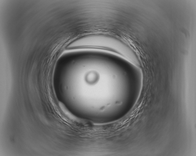 X0000112530097200908171430