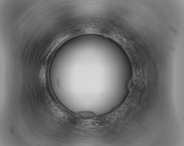 X0000112530098200908171430