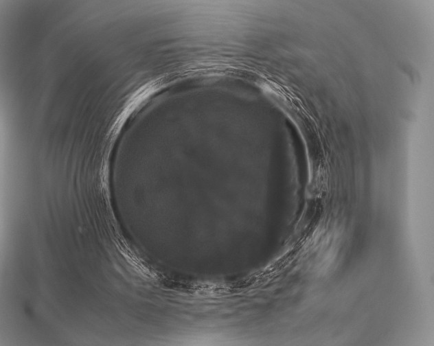 X0000112530099200908171430