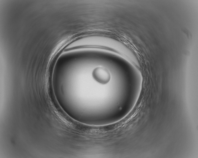 X0000112530101200908171429