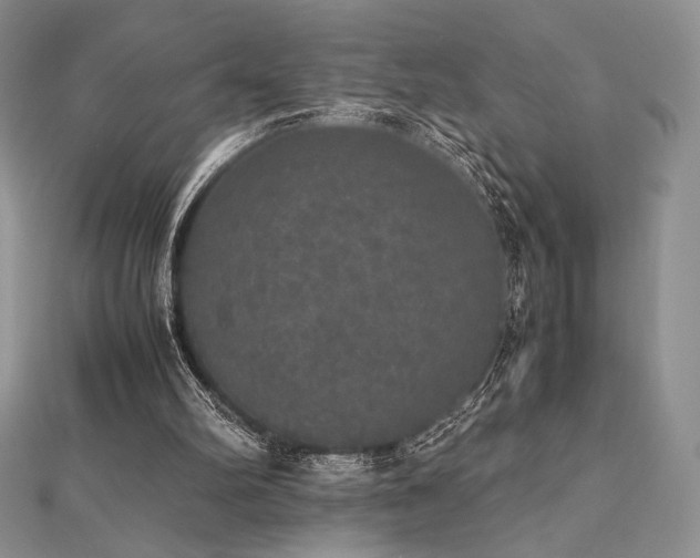 X0000112530102200908171429