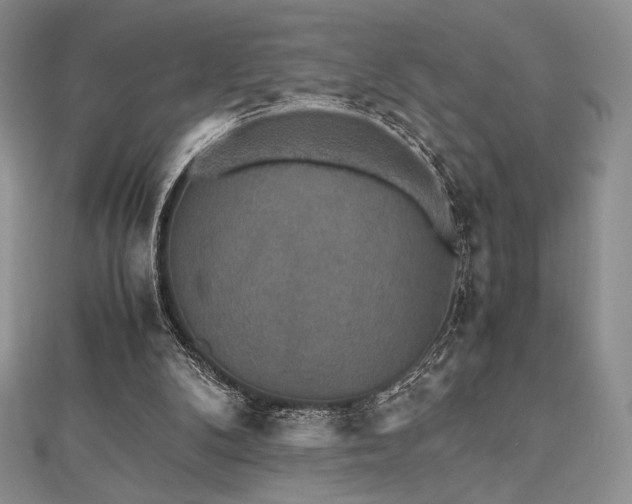 X0000112530104200908171429