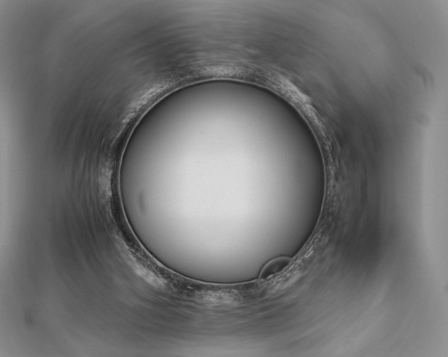 X0000112530106200908171429