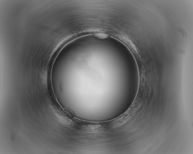 X0000112530108200908171429