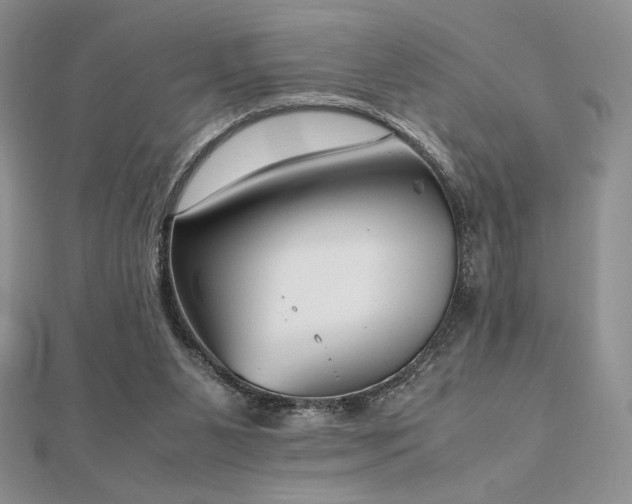 X0000112530111200908171429