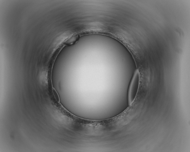 X0000112530112200908171429