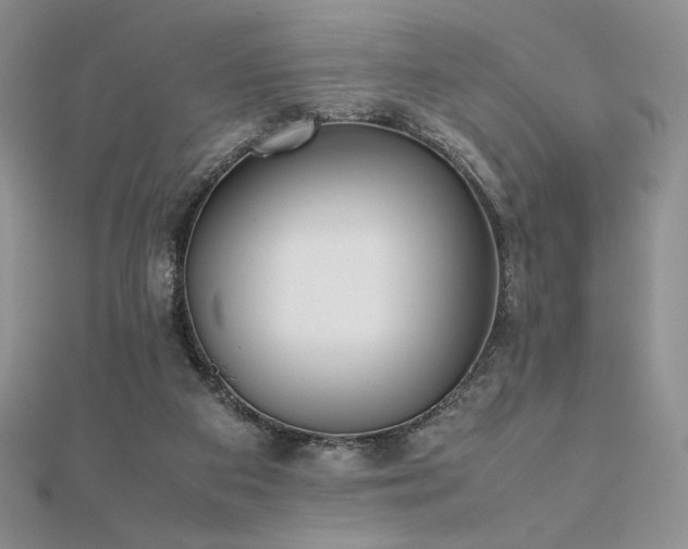 X0000112530113200908171429