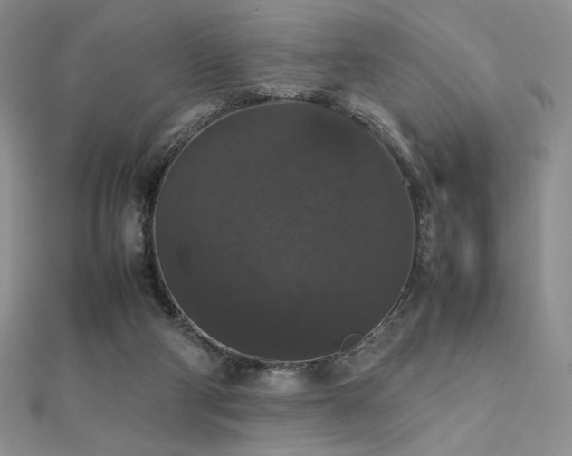 X0000112530114200908171429