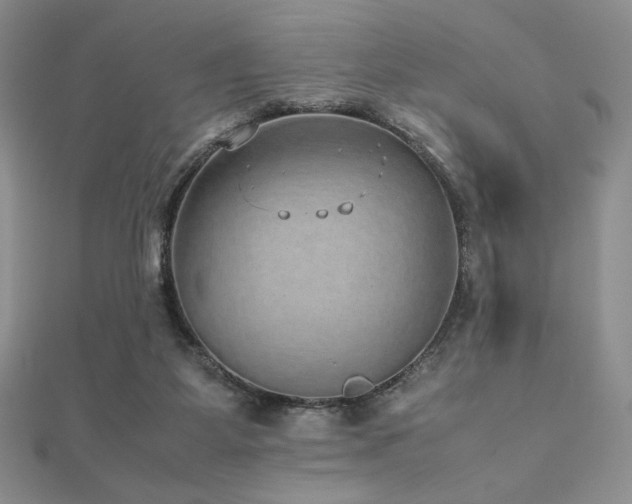 X0000112530115200908171429
