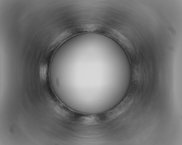 X0000112530118200908171429