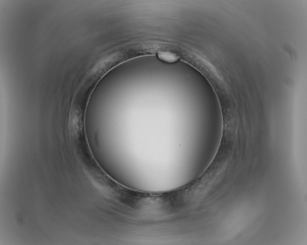 X0000112530119200908171429