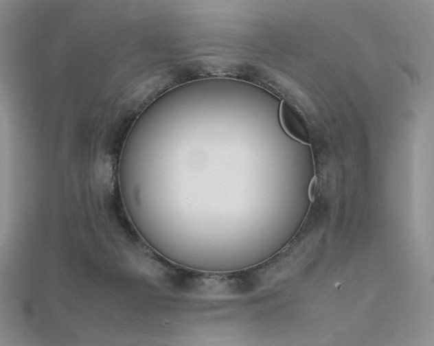 X0000112530121200908171429