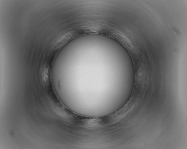 X0000112530122200908171429