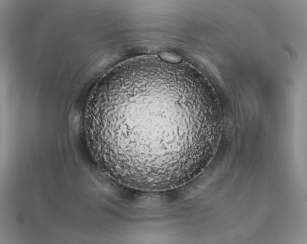 X0000112530123200908171429