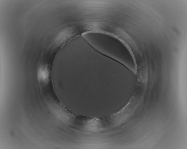 X0000112530124200908171429