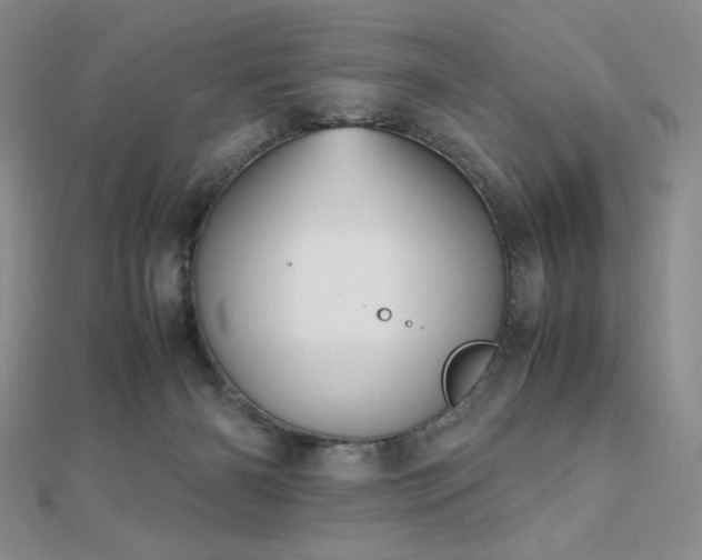 X0000112530126200908171429