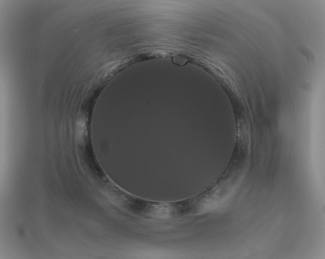 X0000112530127200908171429