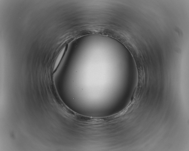 X0000112530128200908171429