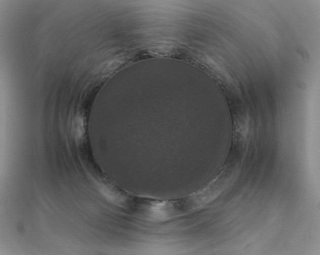 X0000112530130200908171429