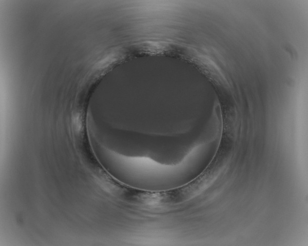 X0000112530131200908171429