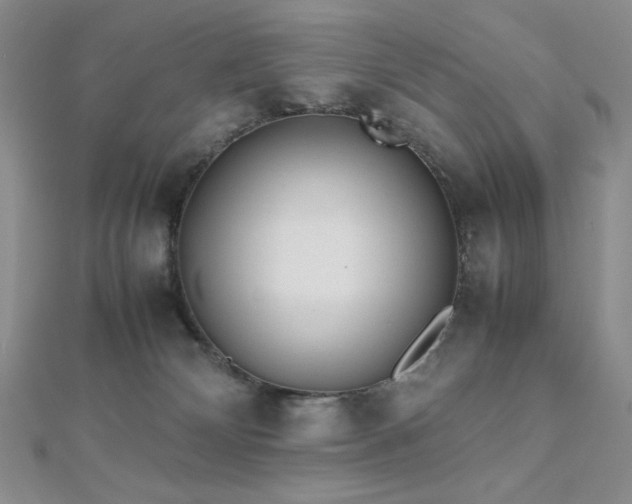 X0000112530132200908171429