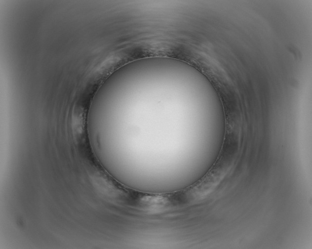 X0000112530133200908171429