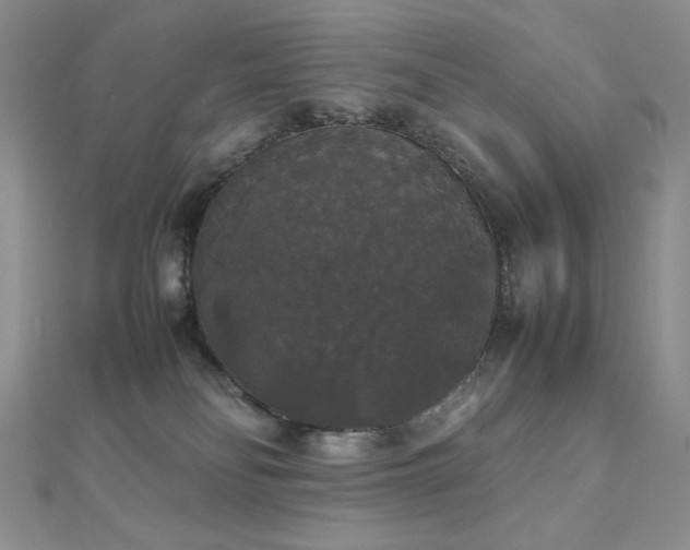 X0000112530134200908171429