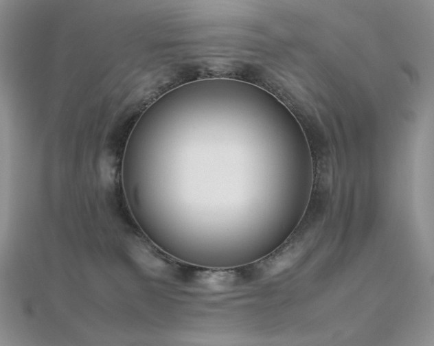 X0000112530135200908171429