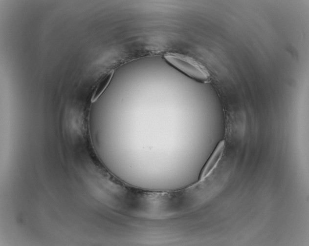 X0000112530136200908171429