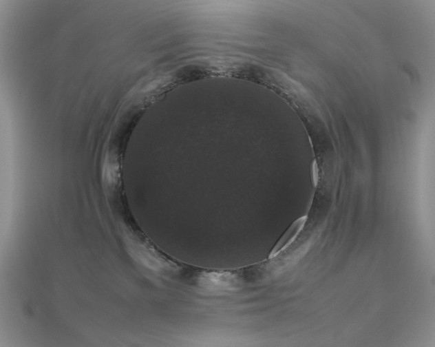 X0000112530137200908171429