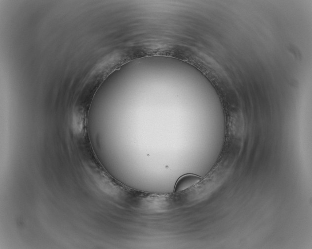 X0000112530138200908171429