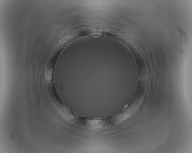 X0000112530139200908171429