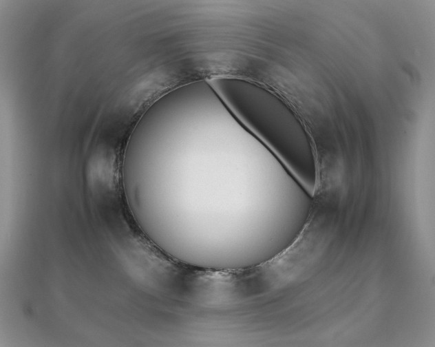 X0000112530140200908171429