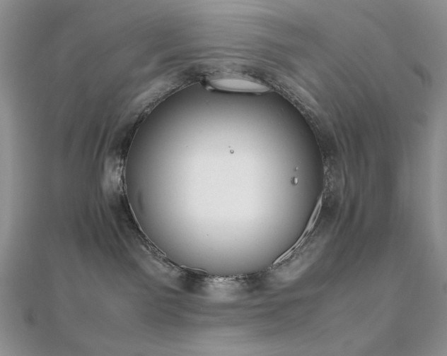 X0000112530141200908171429