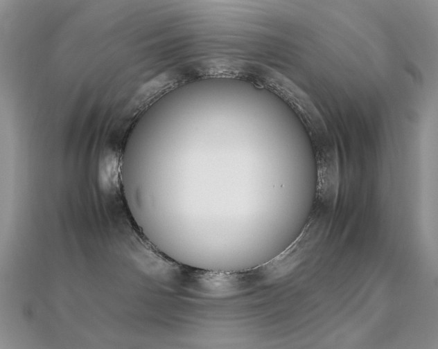X0000112530142200908171429