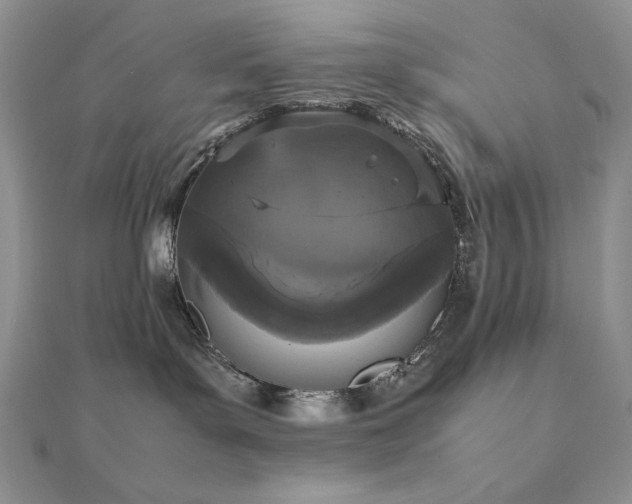 X0000112530143200908171429