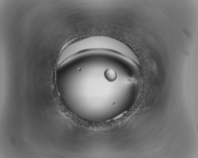 X0000112530144200908171429