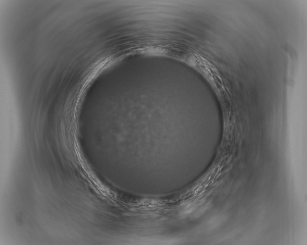 X0000112530145200908171428
