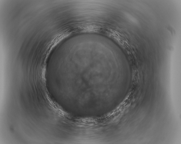 X0000112530146200908171428
