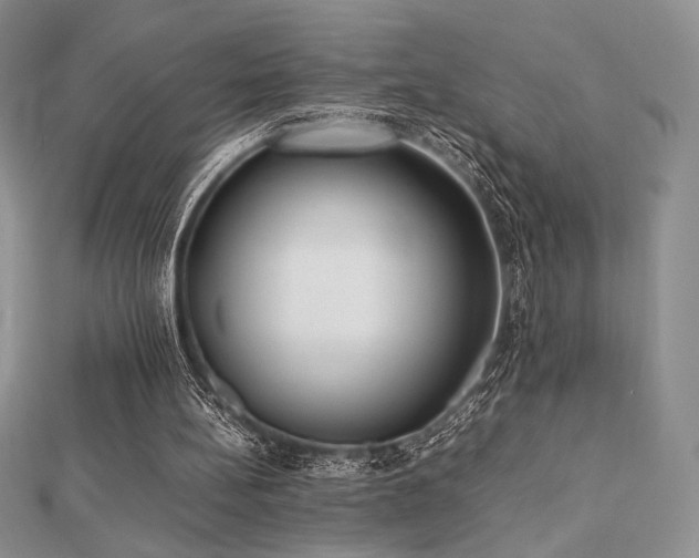 X0000112530148200908171428