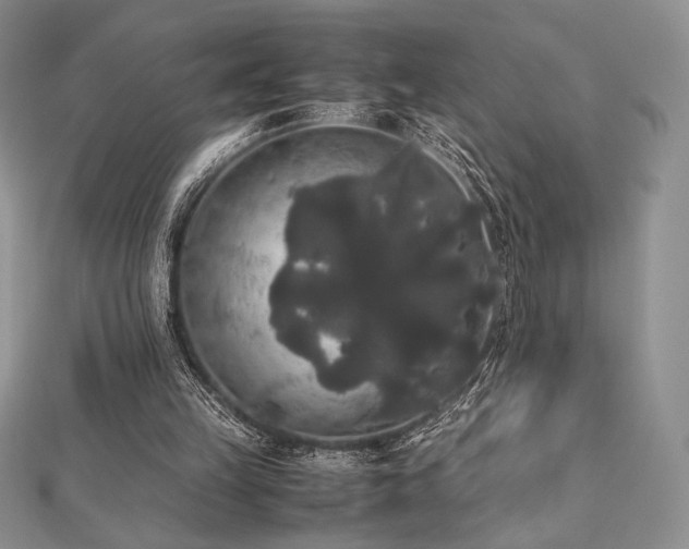 X0000112530149200908171428
