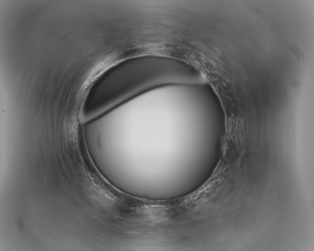 X0000112530150200908171428