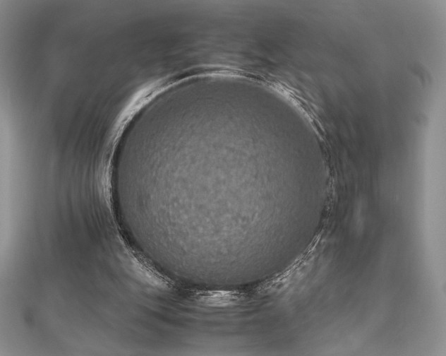 X0000112530151200908171428