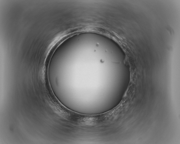 X0000112530152200908171428