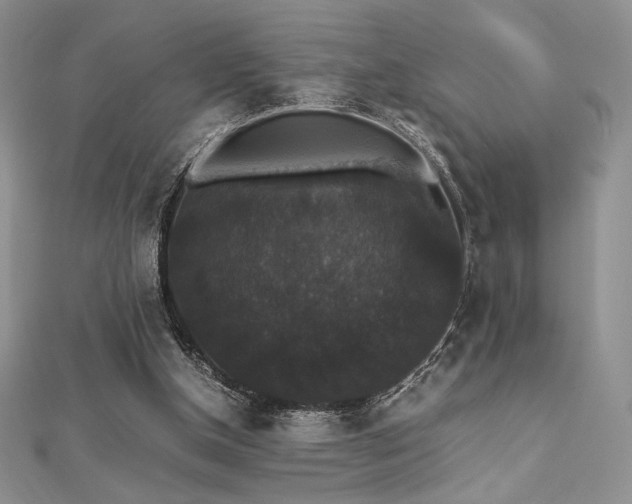 X0000112530154200908171428